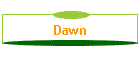 Dawn
